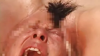 Pintainhos cada outros lambida bichanos e ter sexo com hahal vídeo pornô brasileiro vídeo pornô brasileiro